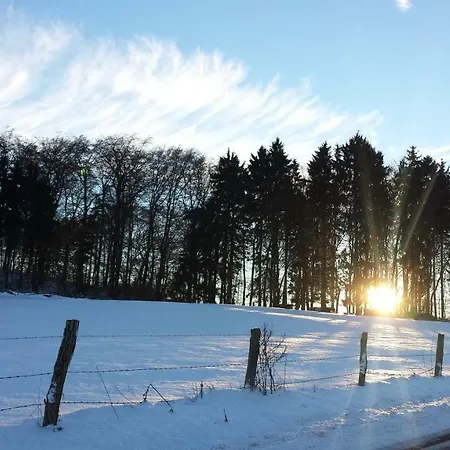 Апартаменты Eifelperle Бланкенхайм